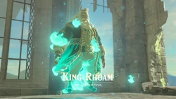 King Rhoam Bosphoramus Hyrule (The Legend Of Zelda: Breath Of The Wild)