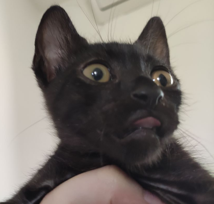 idk what is that