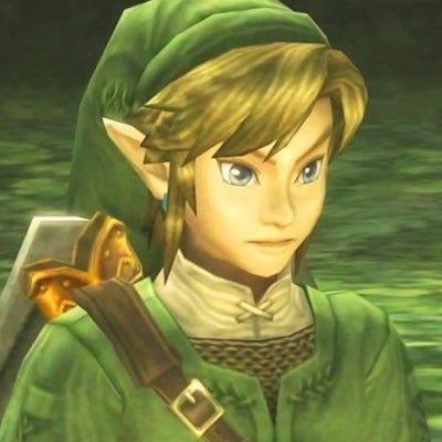 Twilight Princess Link