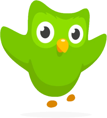 Duolingo Correct Sound Effect
