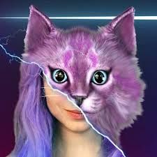Кошка Лана