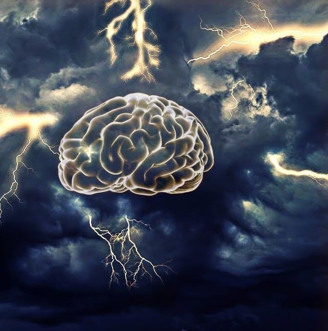 The Brain Storm (SCP-1688)