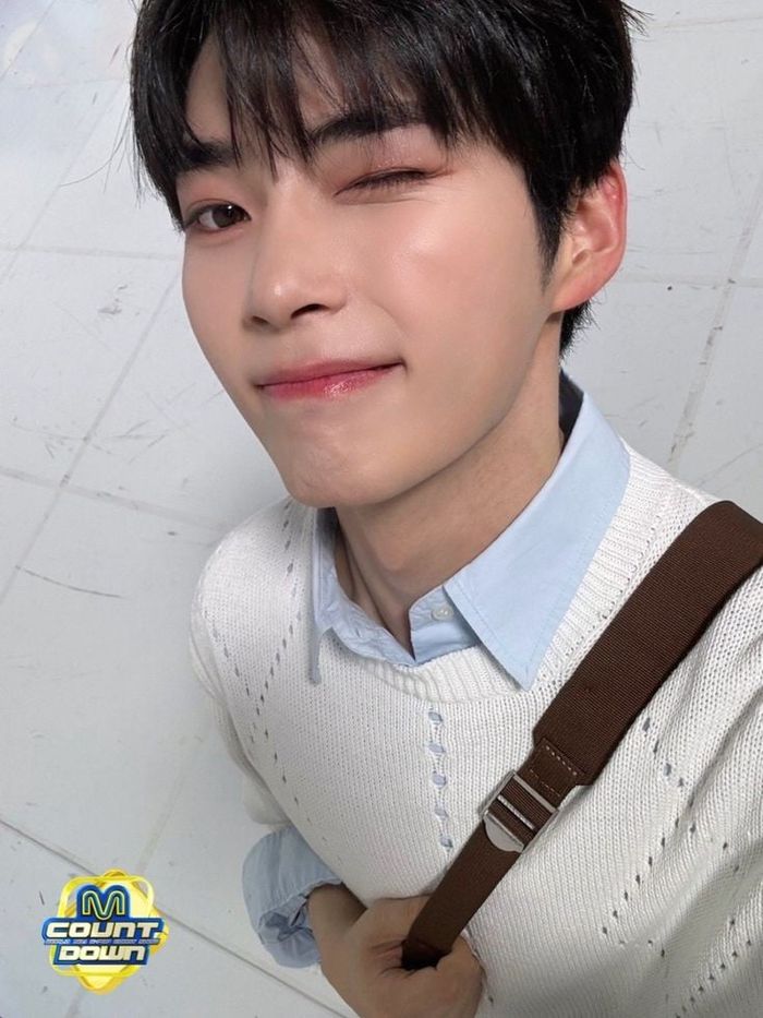 coverhaemin