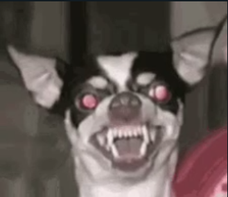 roberto voice