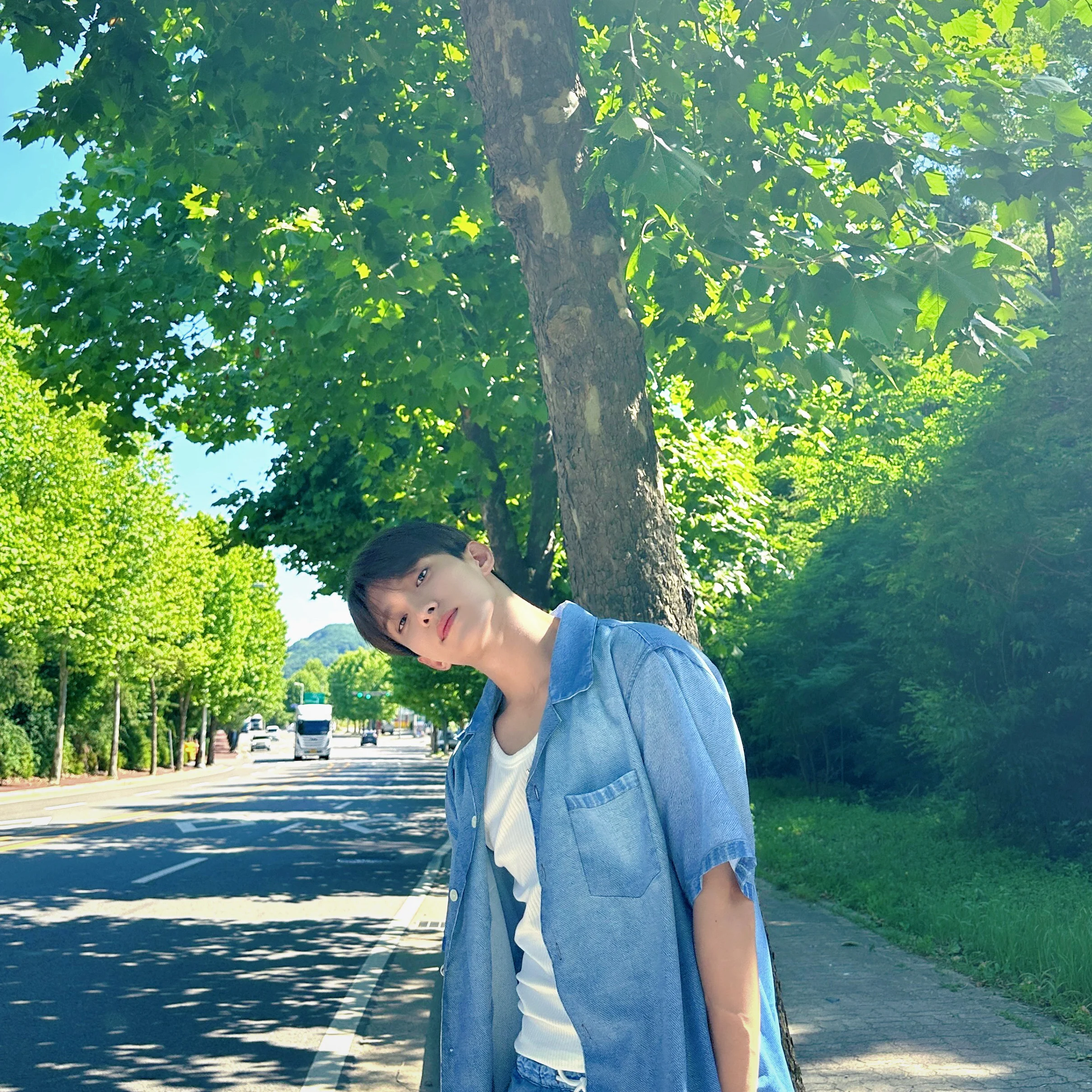 DK SEVENTEEN