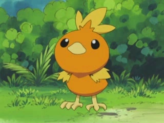 Torchic (Pokémon)