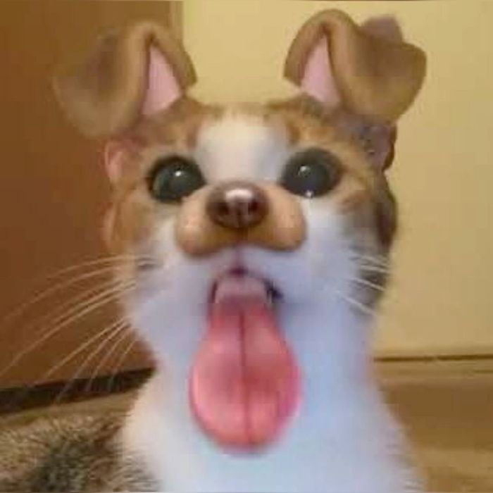 Eueeuueueydr