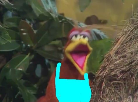 Harvey Bird