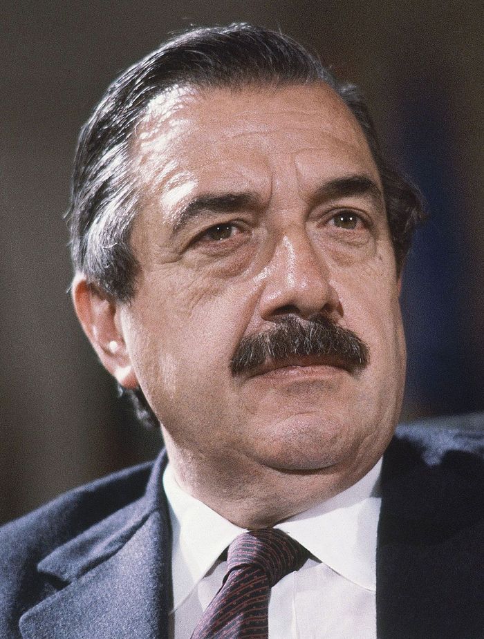 Raúl Alfonsin