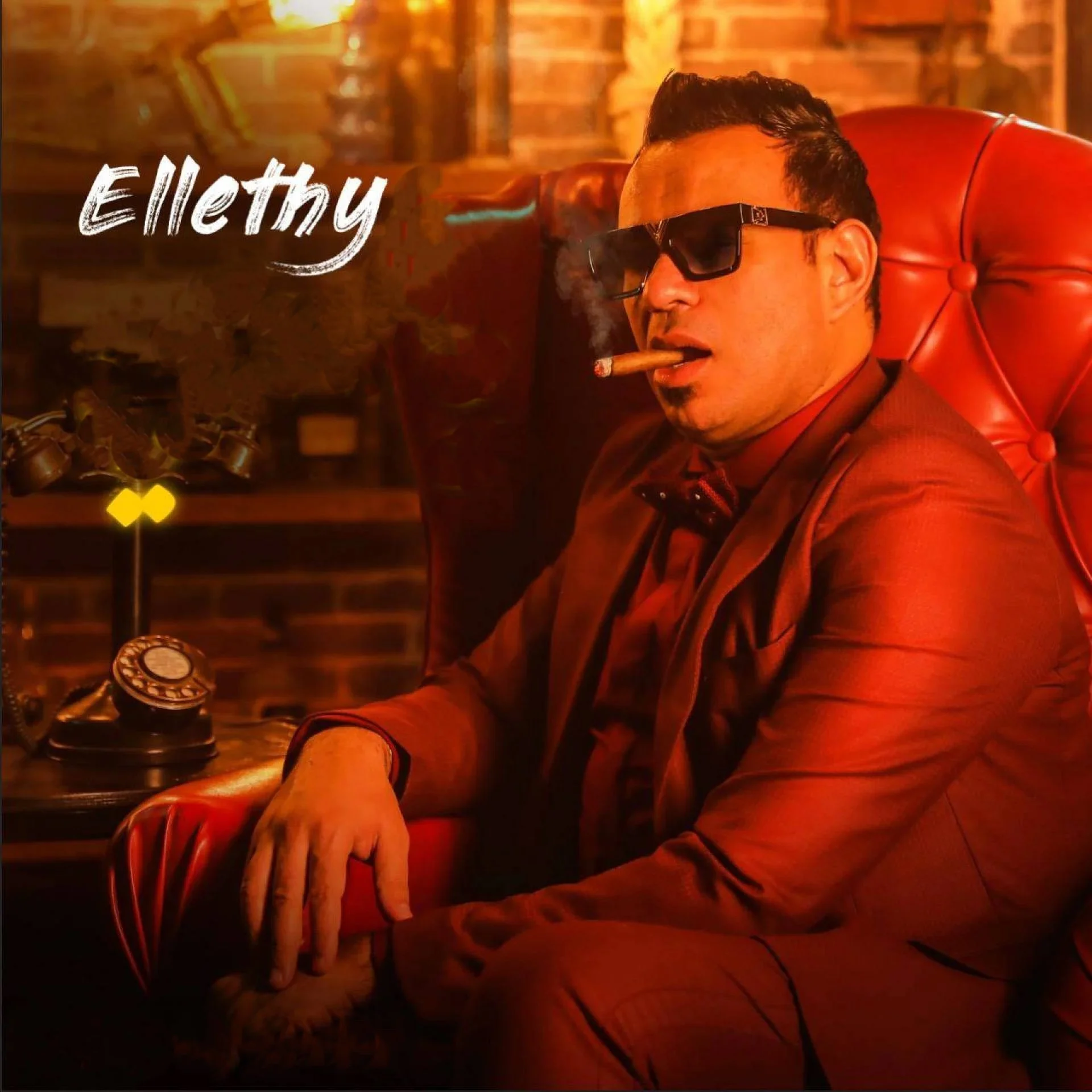 Mahmoud El Leithy