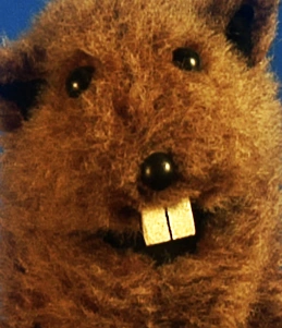 Fafa the Groundhog (Glove & Boots)
