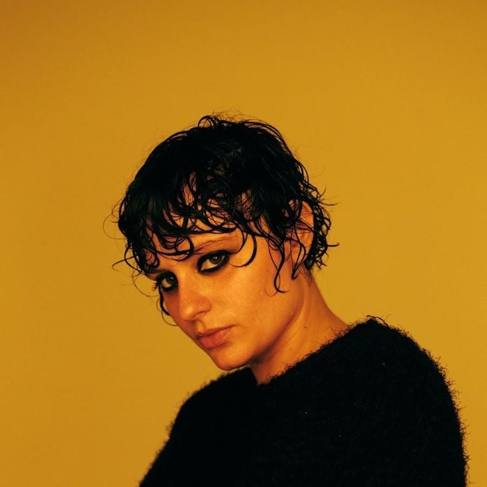 Ana Frango Elétrico