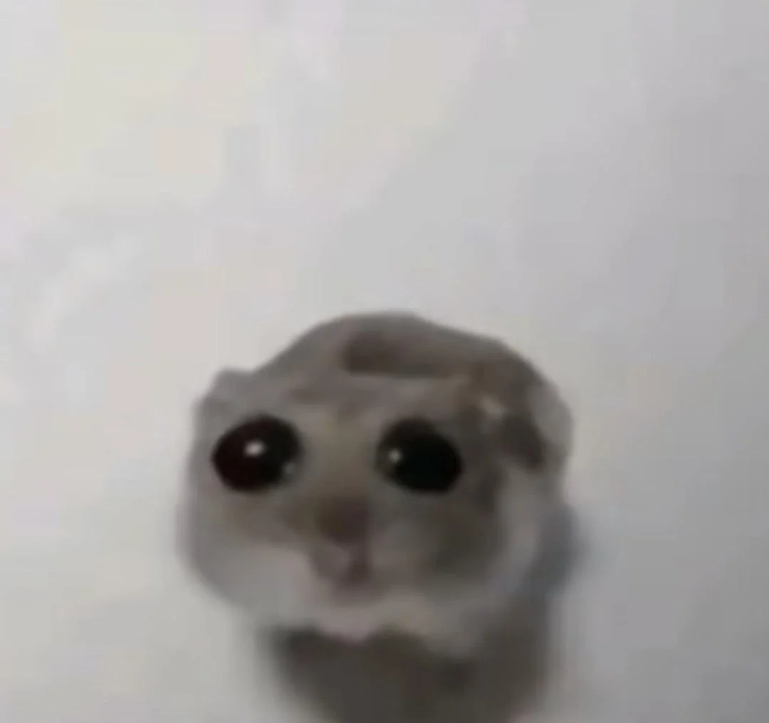 Jfhwbwhsn