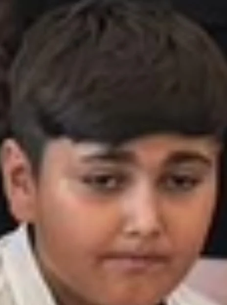 Vrany Ion David