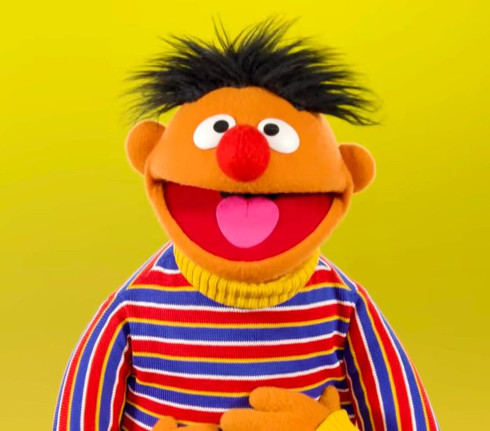 Sesame Street Ernie Peter Linz