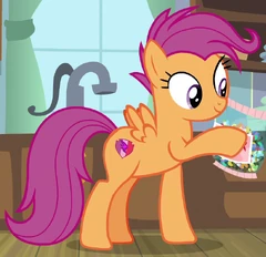 Adult Scootaloo