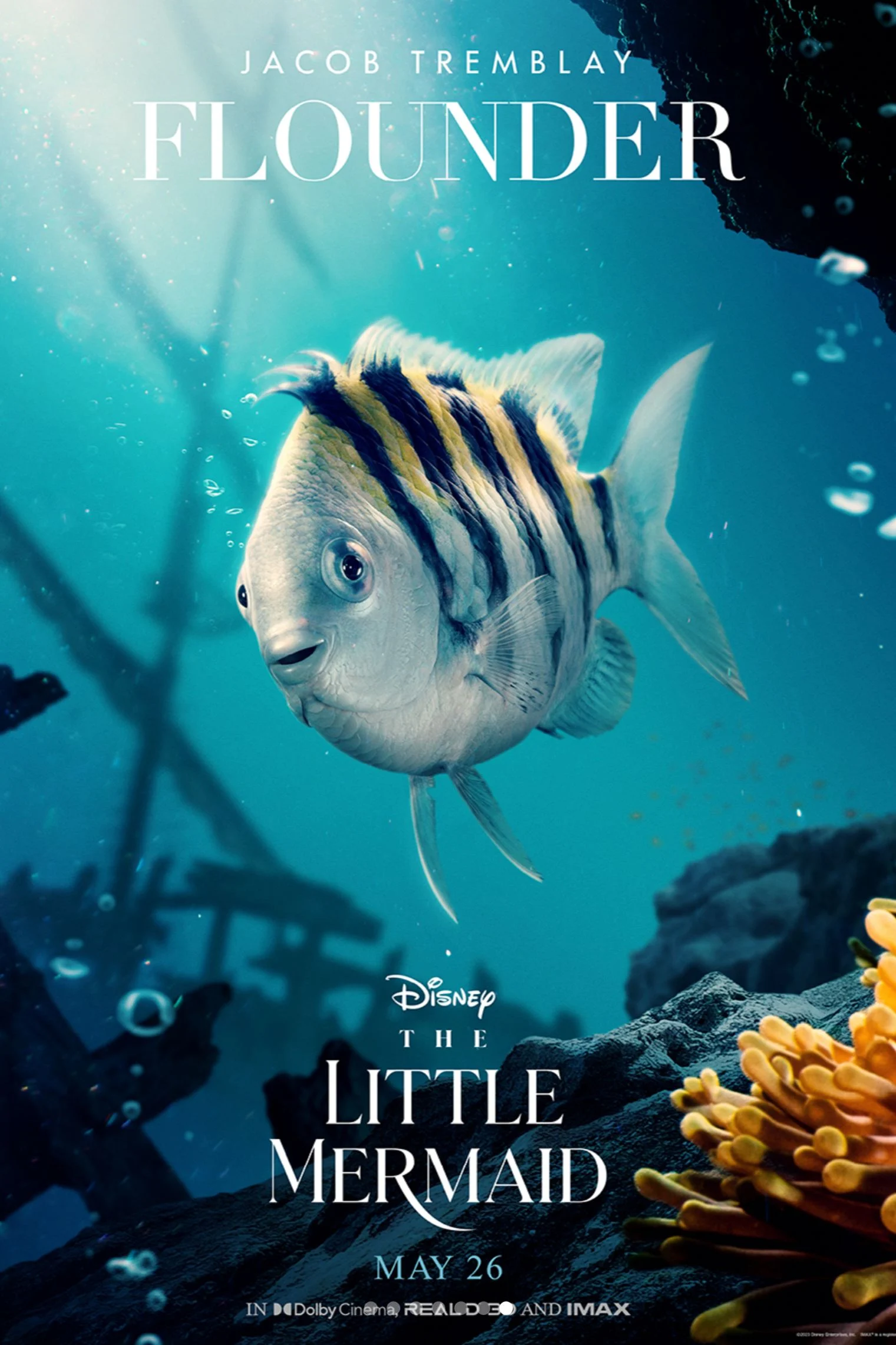 Flounder (Jacob Tremblay, Disney The Little Mermaid 2023)