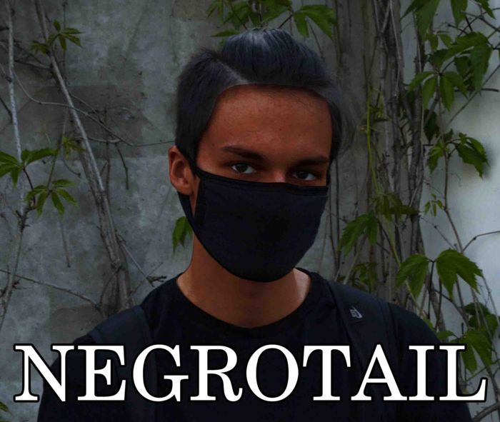 crotailnew