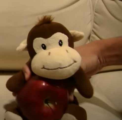 Monkey (TitoTotter)