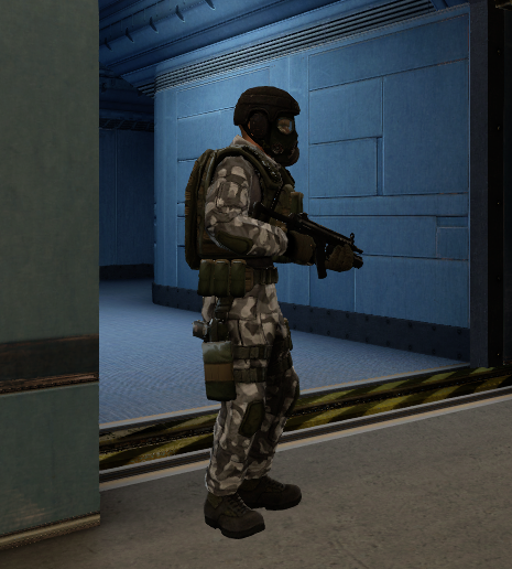 Black Mesa HECU