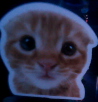 ribby