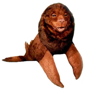 Slick the Sea Lion