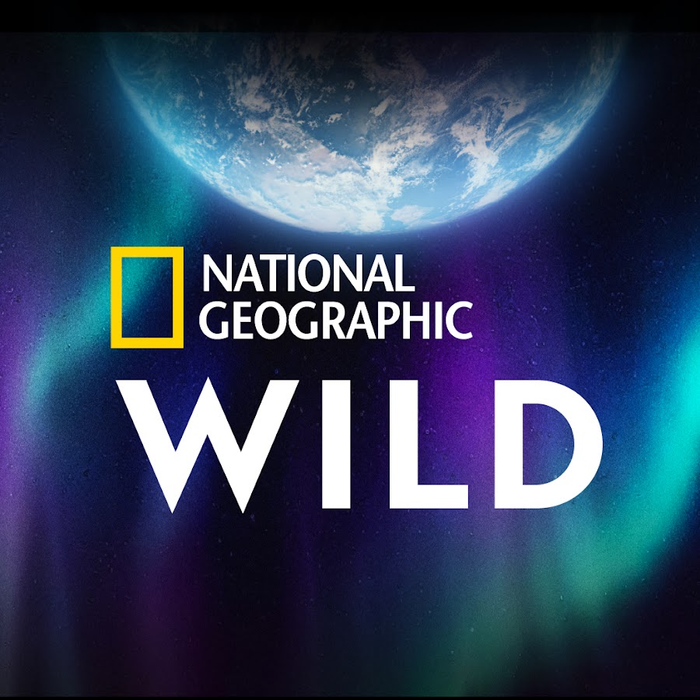 Nat Geo Wild Women Voice