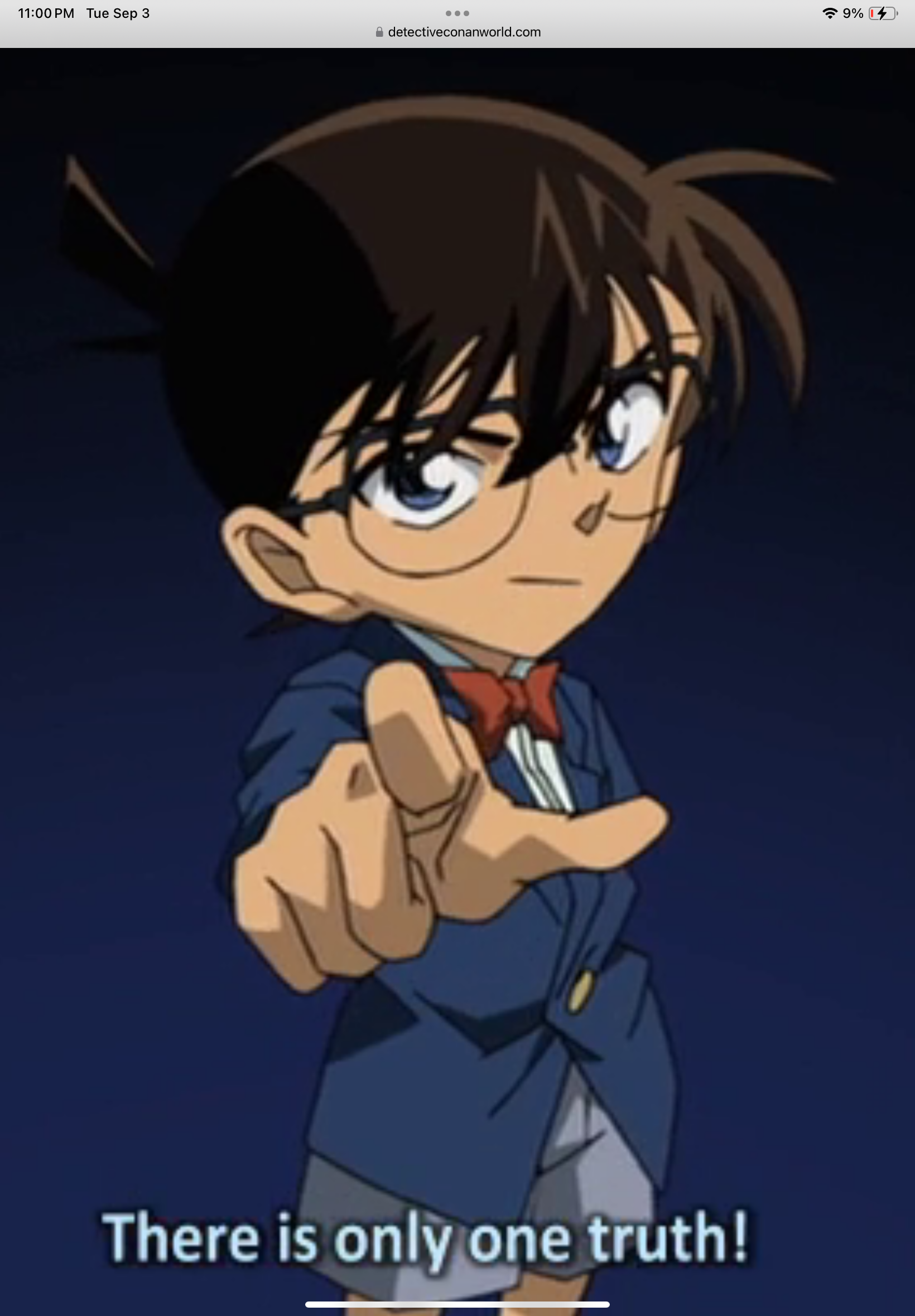 Conan Edogawa (Case Closed/Bang Zoom Entertainment/English VA: Wendee Lee)