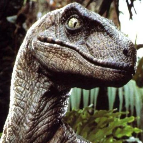 Velociraptor (Jurassic Park 1-3)