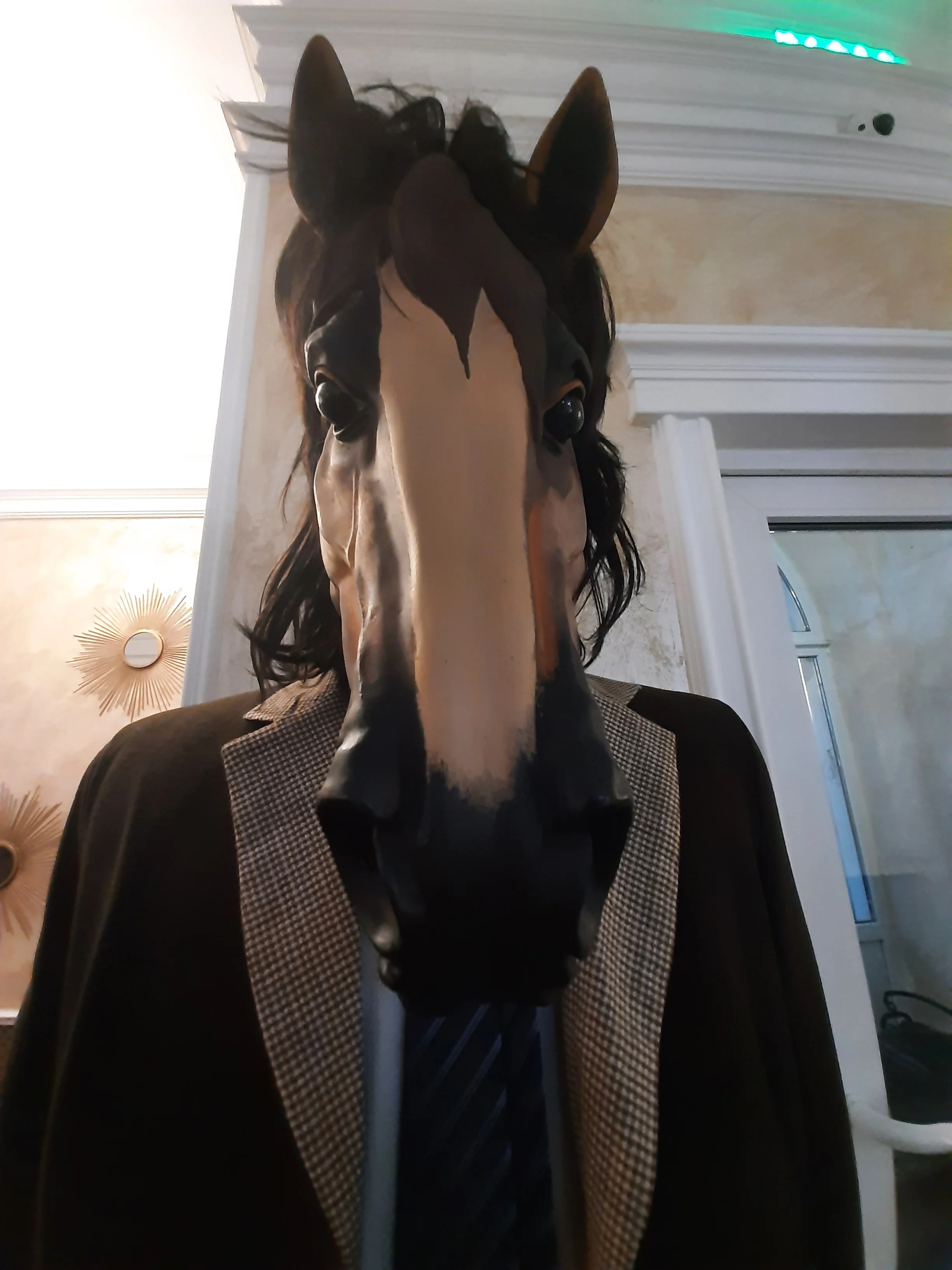 Seryoga
