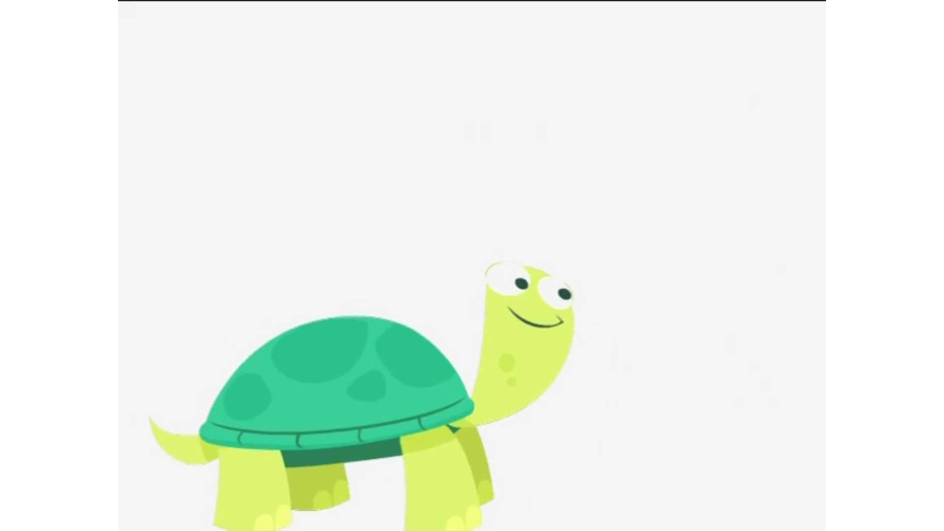 Sea Turtle (White Background)