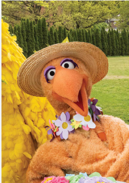 Nani Bird 