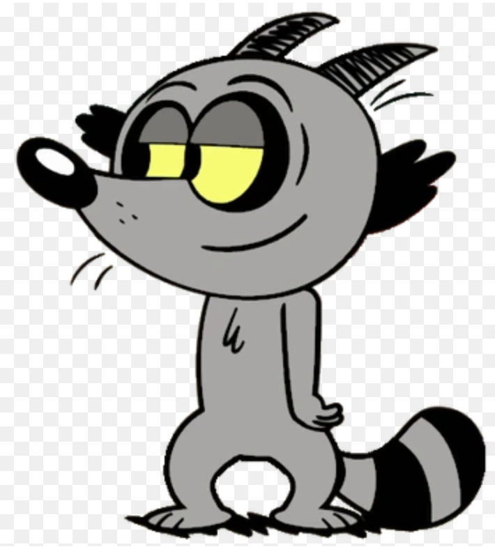 Nacho the racoon from the loud house 