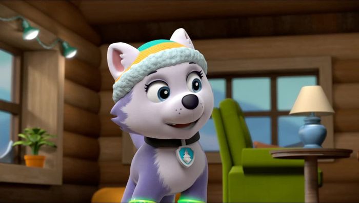 Paw Patrol Everest