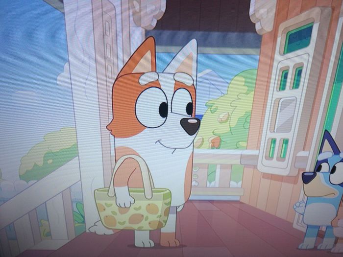 Brandy(Bluey)castellano