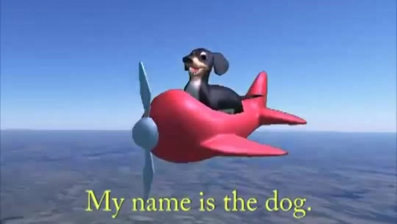 Joe