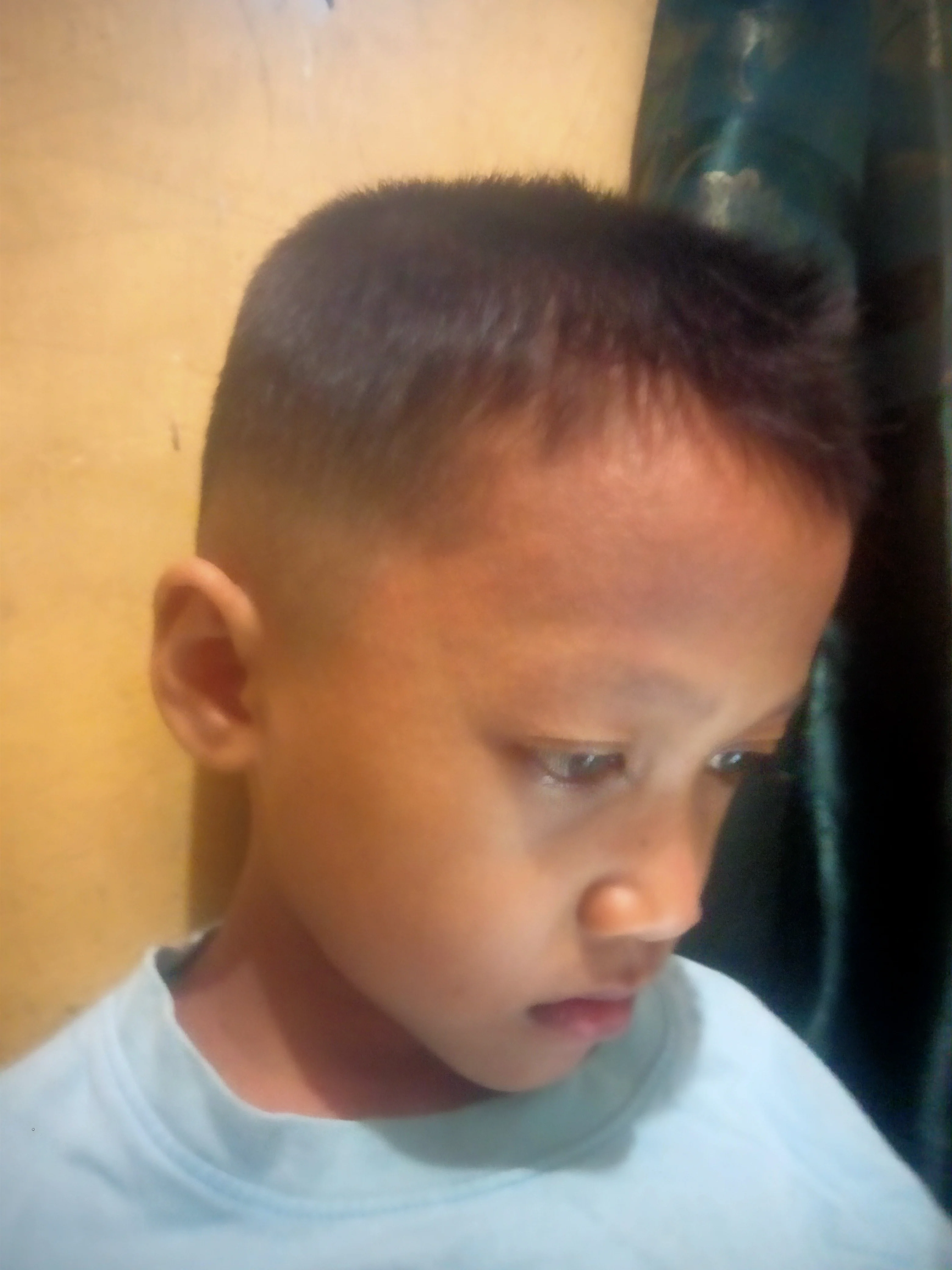 HamzahPemula