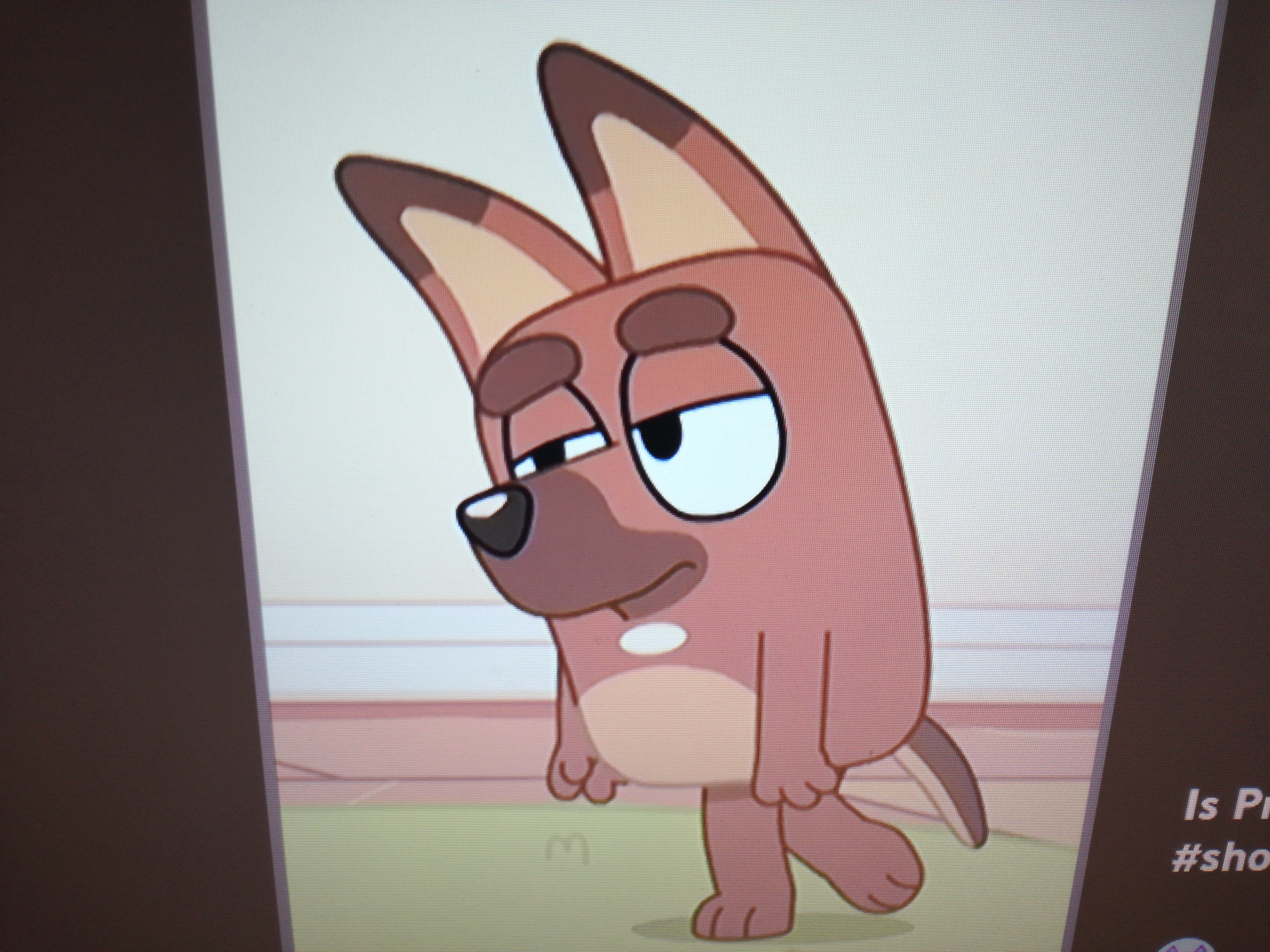 Pretzel castellano(Bluey)