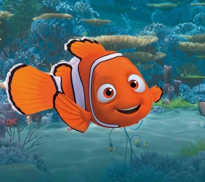 Nemo filho pt br