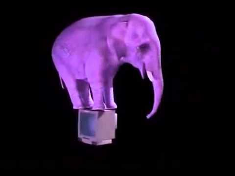 Mass Media Elephant on TV