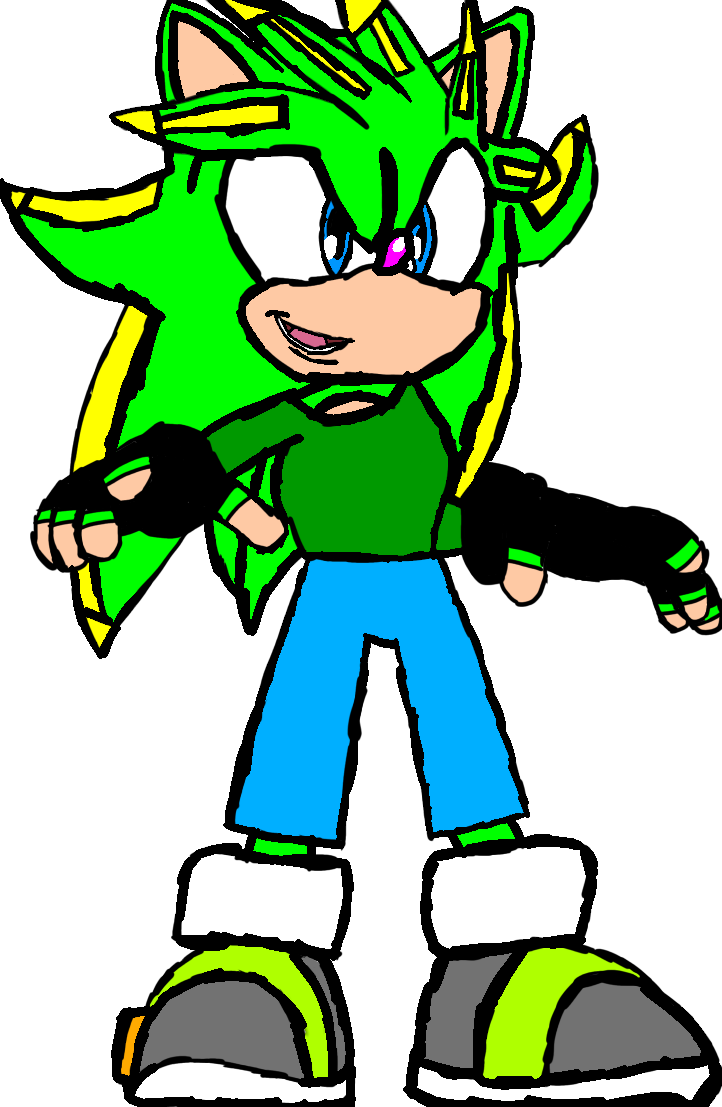 Logan the Hedgehog (Sonic Series)