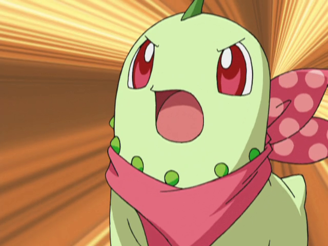 Chikorita Adriana Casas (Doblaje Latino)