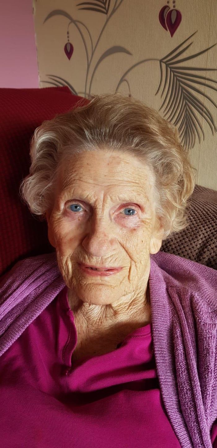 Nanny wheeler 