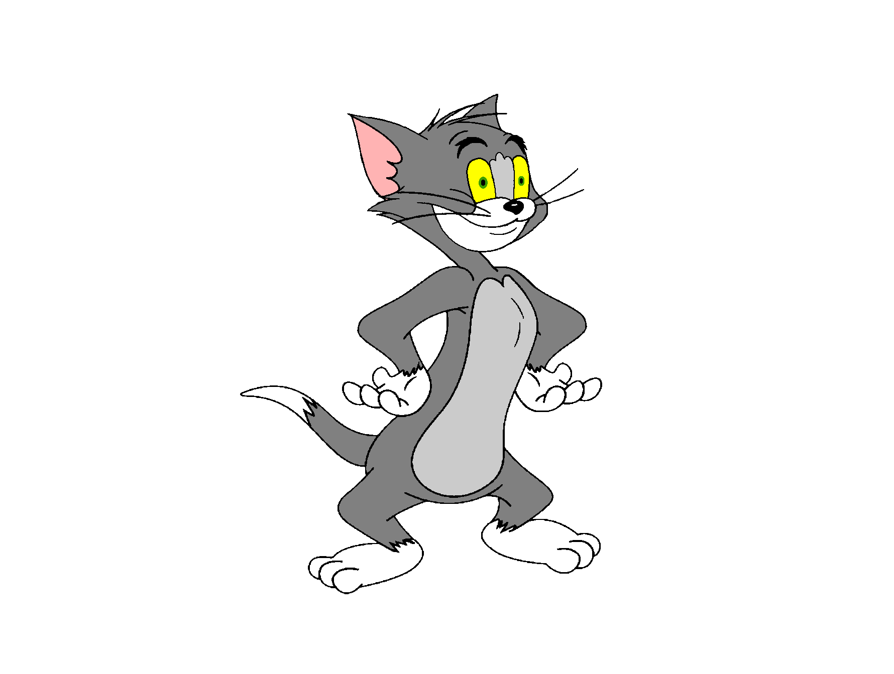 Thomas Jasper The Cat