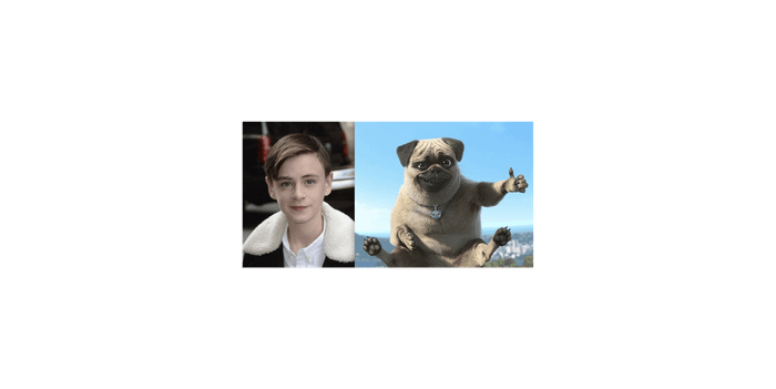 Bill Denbrough And Mighty Mike The Pug Dog (Jaeden Lieberher)