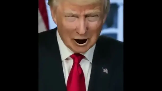 Donald Trump (Rude buster)
