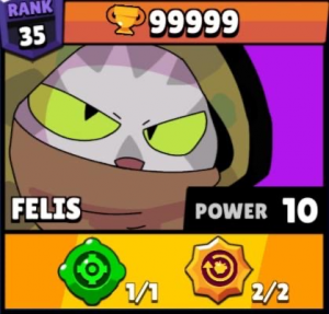 Felis