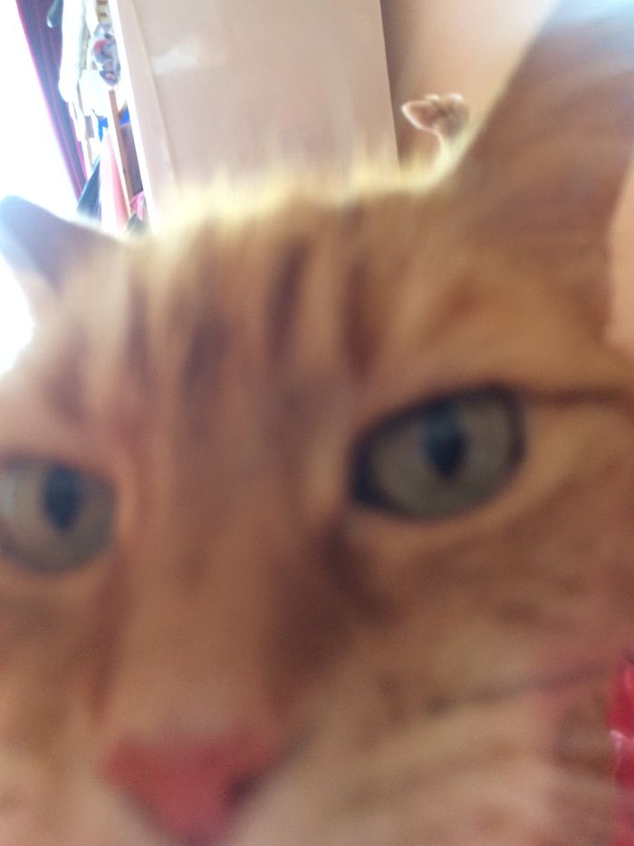 Billy