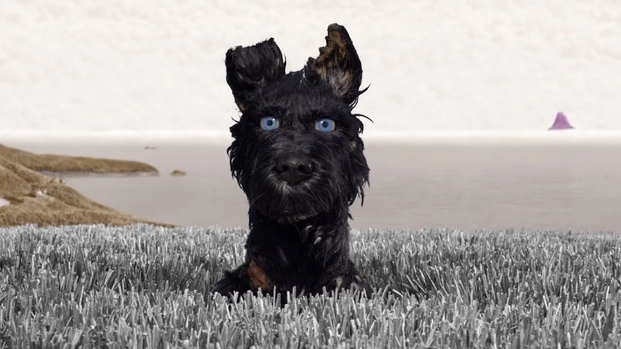 Chief - Isle of dogs