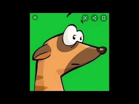 Timon se a vuelto loco